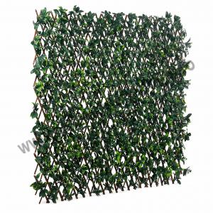 Gard verde extensibil dens din rachita 120x 120 cm, VDZ25  / Gard Verde Artificial 