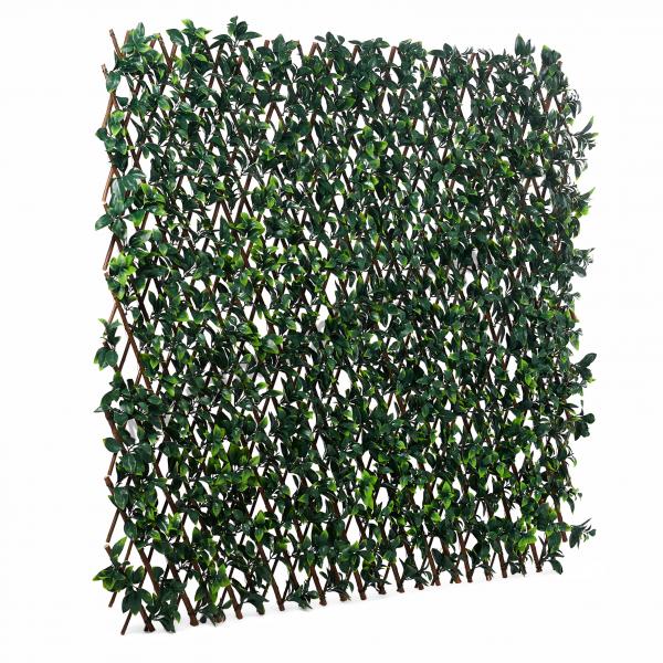 Gard verde extensibil dens din rachita 120x 120 cm, VDZ25
